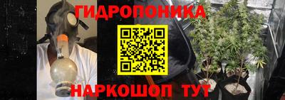 шишки Волжск