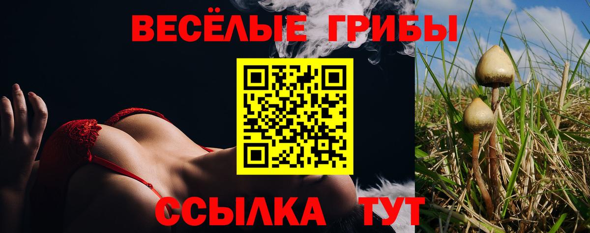 Галлюциногенные грибы GOLDEN TEACHER  Вход с VPN  Мыски  Галлюциногенные грибы GOLDEN TEACHER 